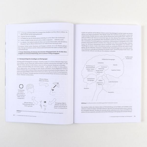 Produktbild: Therapie-Tools Impact-Techniken im Einzelsetting