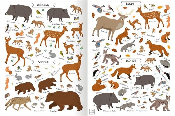 Produktbild: Naturforscher-Kids &ndash; Stickerheft Im Wald