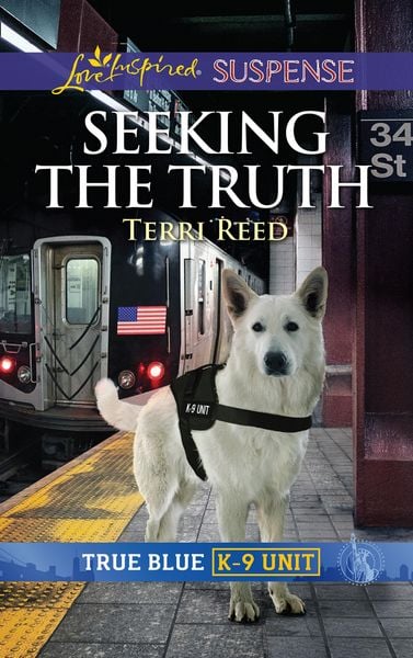 Produktbild: Seeking The Truth
