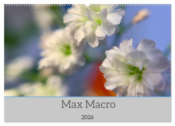 Max Macro (Wandkalender 2026 DIN A2 quer), CALVENDO Monatskalender