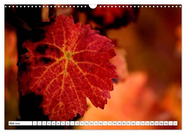 Produktbild: Bunte Bl&auml;tter (Wandkalender 2026 DIN A3 quer), CALVENDO Monatskalender
