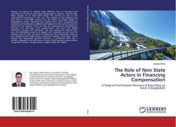Produktbild: The Role of Non State Actors in Financing Compensation