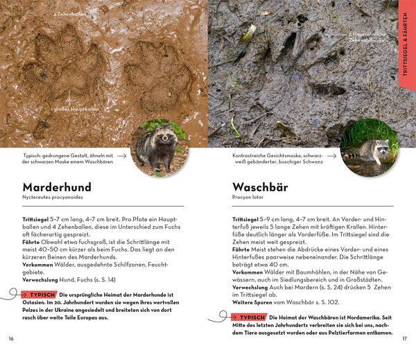 Produktbild: BASIC Tierspuren
