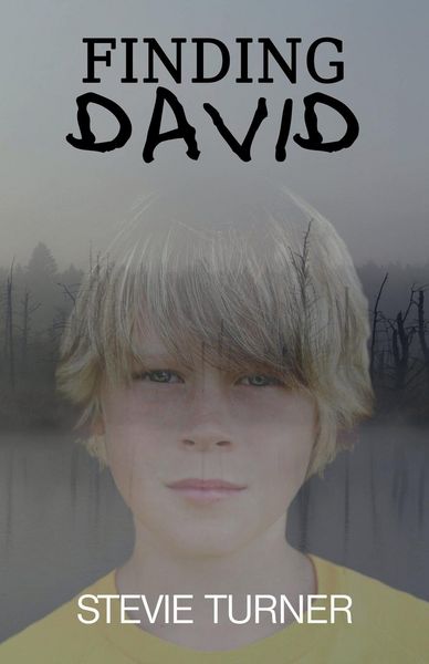 Produktbild: Finding David