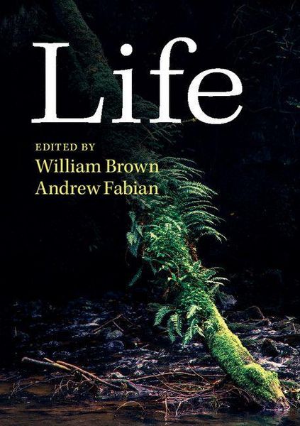 Produktbild: Life
