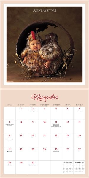 Produktbild: Anne Geddes 2027 &ndash; Wandkalender