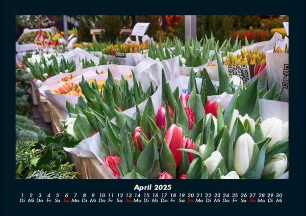 Produktbild: Blumenkalender 2025 Fotokalender DIN A4