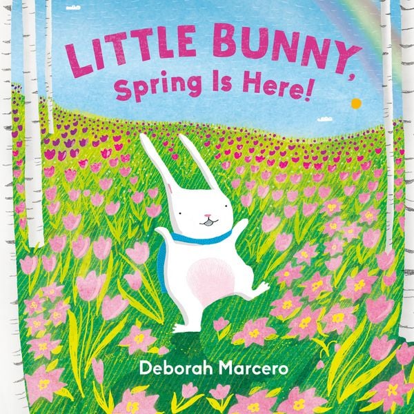 Produktbild: Little Bunny, Spring Is Here!