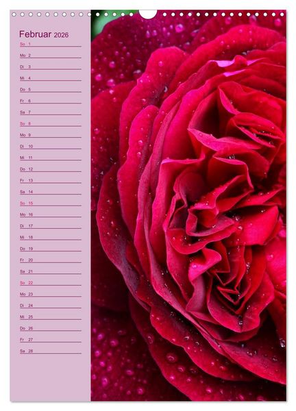 Produktbild: Rosen Symphonie (Wandkalender 2026 DIN A3 hoch), CALVENDO Monatskalender