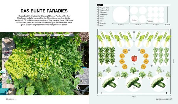 Produktbild: Bunte Beete &ndash; Einfach g&auml;rtnern mit intensiver Bepflanzung in Hochbeet und Freiland