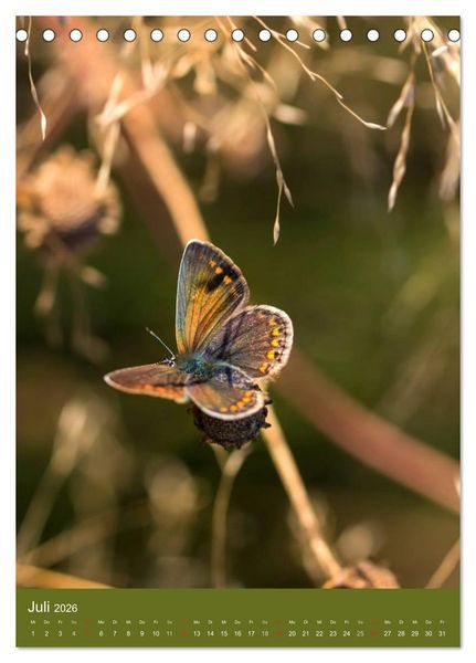 Produktbild: Natur-Romantik (Tischkalender 2026 DIN A5 hoch), CALVENDO Monatskalender