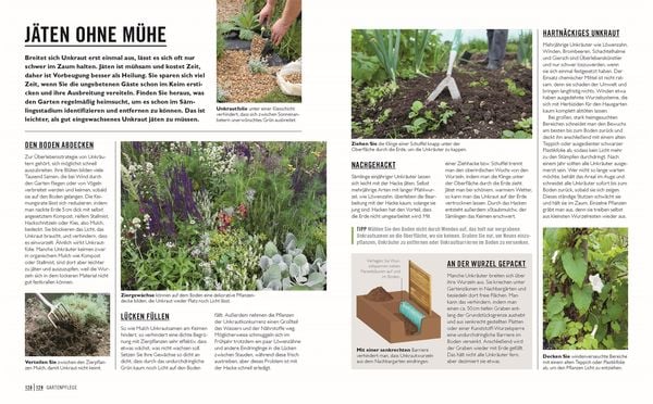 Grünes Gartenwissen. Gärtnern mit wenig Aufwand