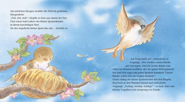 Produktbild: Der &auml;ngstliche kleine Spatz