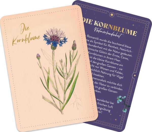 Produktbild: Die geheimnisvolle Sprache der Blumen &ndash; 50 Orakelkarten f&uuml;r das ganze Jahr