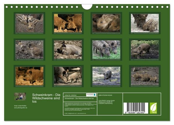 Produktbild: Schweinkram - Die Wildschweine sind los (Wandkalender 2027 DIN A4 quer), CALVENDO Monatskalender