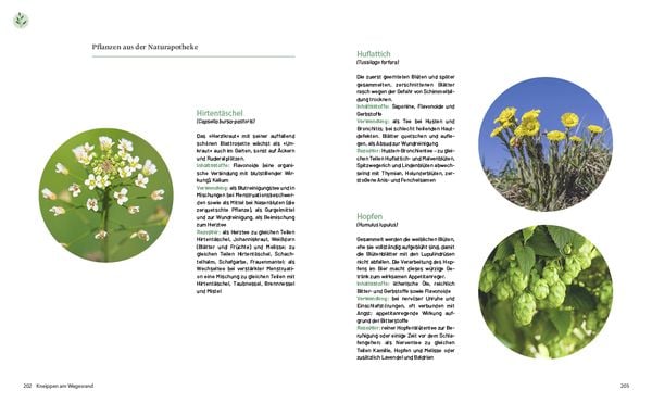 Produktbild: Das gro&szlig;e Kneipp-Buch