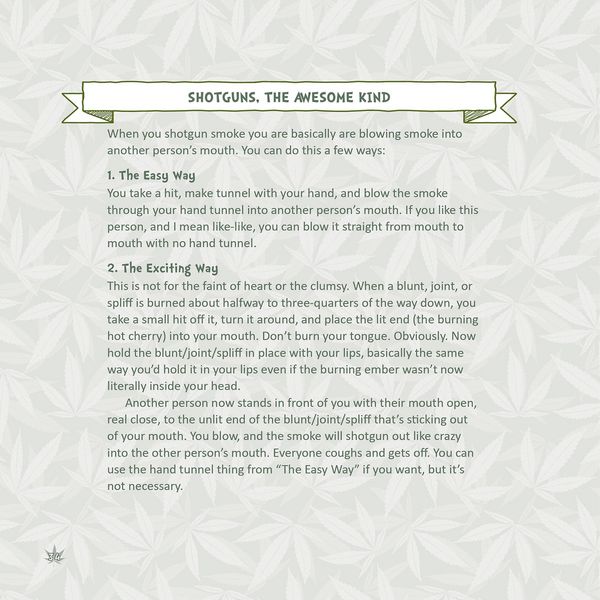Produktbild: The Little Book of Weed Games