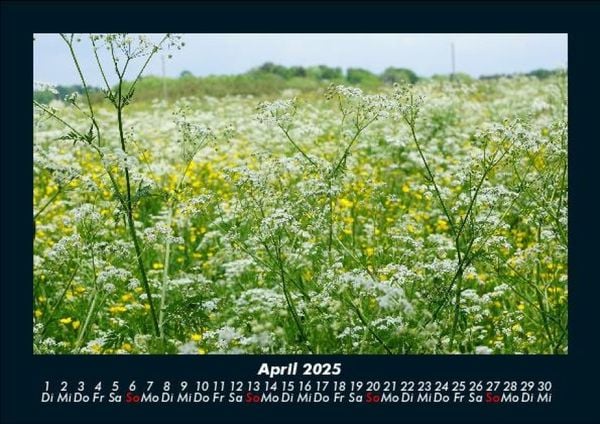 Produktbild: Blumentr&auml;ume 2025 Fotokalender DIN A5