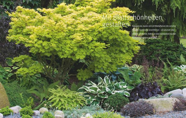 Produktbild: Ganzj&auml;hrig attraktive Beete mit Blatt und Bl&uuml;te