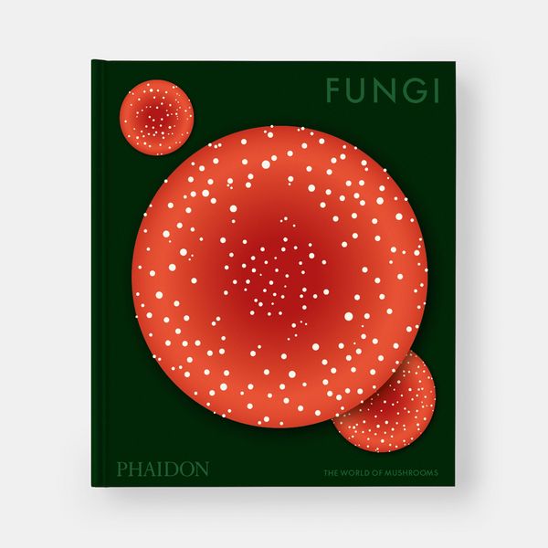 Produktbild: Fungi
