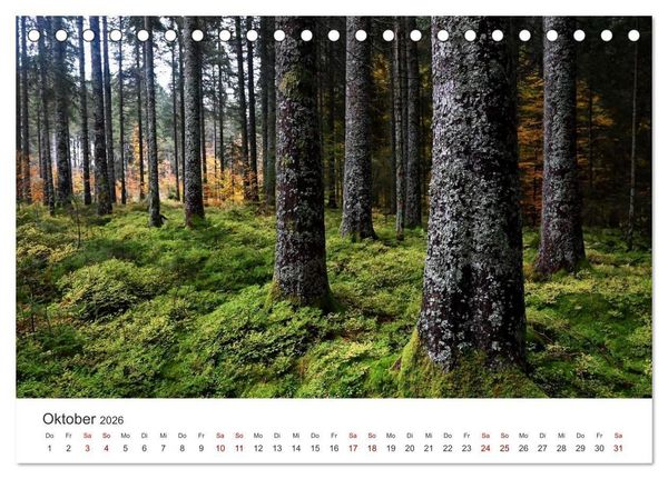 Produktbild: Deutschlands Landschaften 2026 &ndash; Von der K&uuml;ste bis zu den Alpen (Tischkalender 2026 DIN A5 quer), CALVENDO Monatskalender