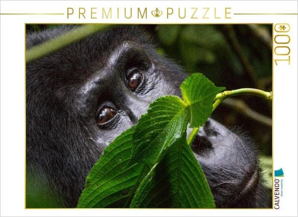 CALVENDO Puzzle Watching you | 1000 Teile Lege-Größe 64x48cm Foto-Puzzle für glückliche Stunden