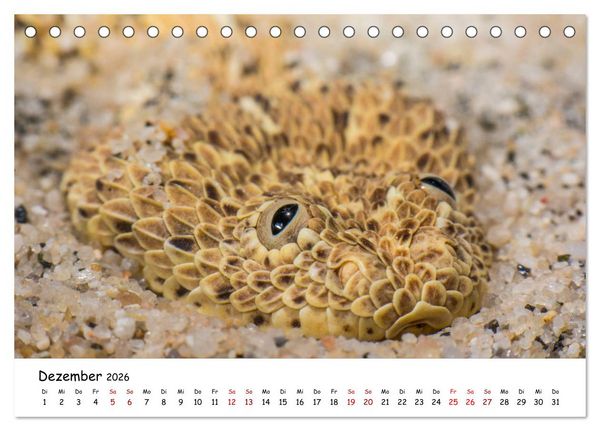 Produktbild: Mythos Schlangen (Tischkalender 2026 DIN A5 quer), CALVENDO Monatskalender