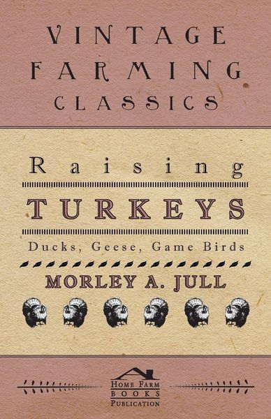 Produktbild: Raising Turkeys - Ducks, Geese, Game Birds