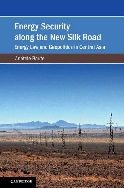 Produktbild: Energy Security along the New Silk Road