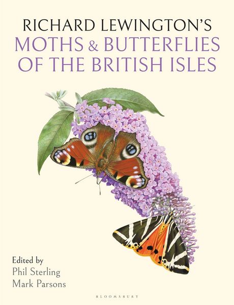 Produktbild: Richard Lewington's Moths & Butterflies of the British Isles