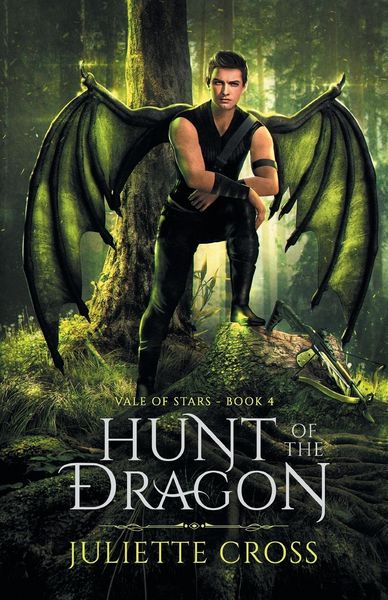 Produktbild: Hunt of the Dragon