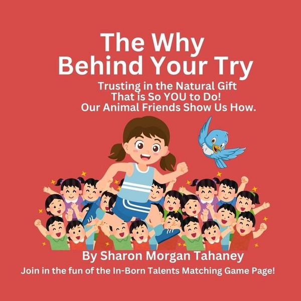 Produktbild: The Why Behind Your Try