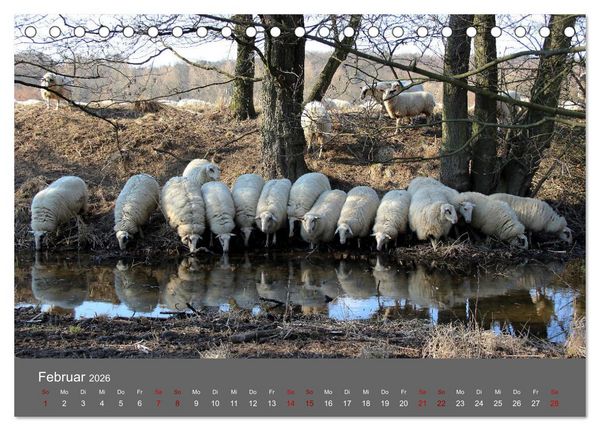 Produktbild: Wahner Heide - Aussichten und Begegnungen (Tischkalender 2026 DIN A5 quer), CALVENDO Monatskalender