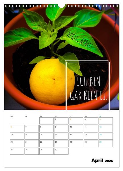 Produktbild: Mit Eiern durch's Jahr. (Wandkalender 2026 DIN A3 hoch), CALVENDO Monatskalender