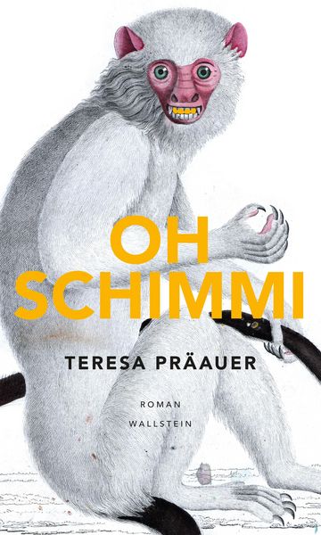 Produktbild: Oh Schimmi