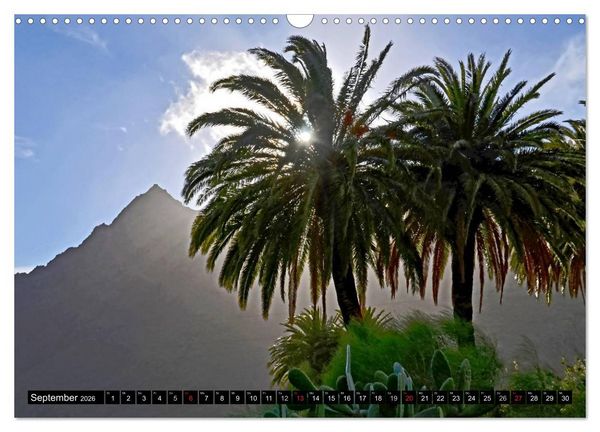 Produktbild: Teneriffas rauer Norden (Wandkalender 2026 DIN A3 quer), CALVENDO Monatskalender
