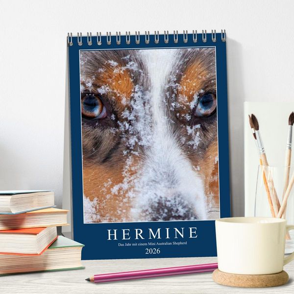 Produktbild: Hermine - Ein Jahr mit einem Mini Australian Shepherd (Tischkalender 2026 DIN A5 hoch), CALVENDO Monatskalender