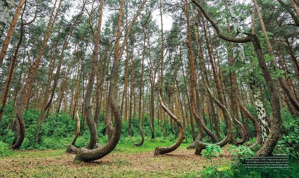 Produktbild: NATIONAL GEOGRAPHIC