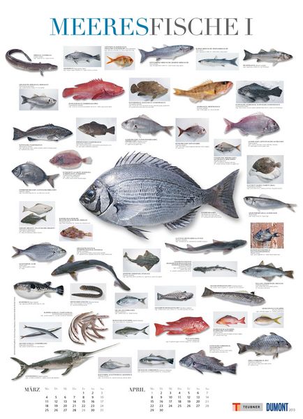 Produktbild: Food, Poster-Kalender 2013