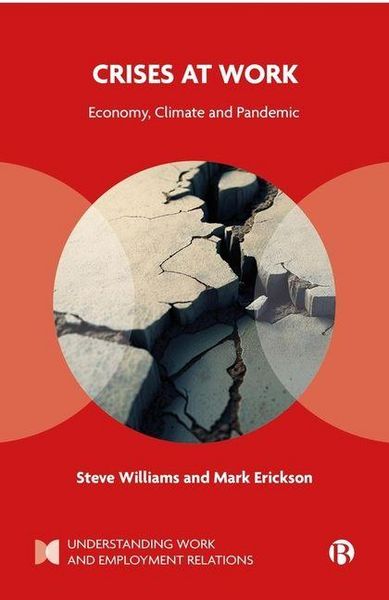 Produktbild: Crises at Work