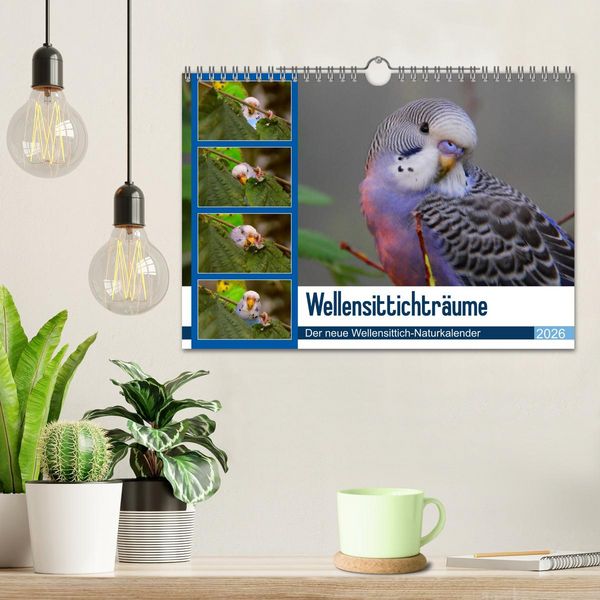Produktbild: Wellensittichtr&auml;ume - Der neue Wellensittich-Naturkalender (Wandkalender 2026 DIN A4 quer), CALVENDO Monatskalender