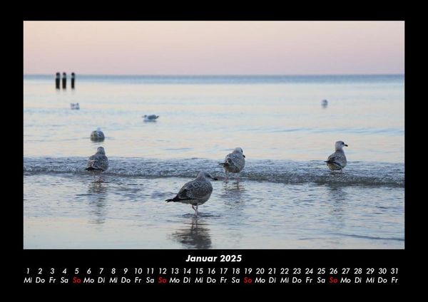 Produktbild: Meereslandschaft 2025 Fotokalender DIN A3