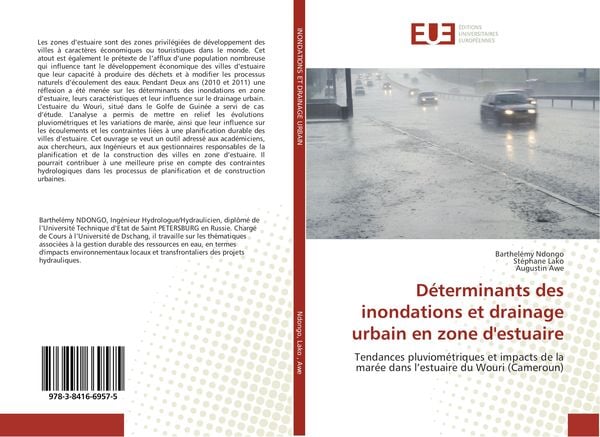 Produktbild: D&eacute;terminants des inondations et drainage urbain en zone d'estuaire