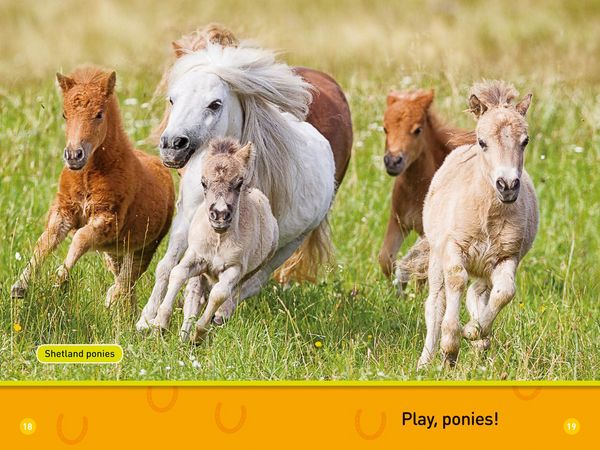 Produktbild: Trot, Pony!