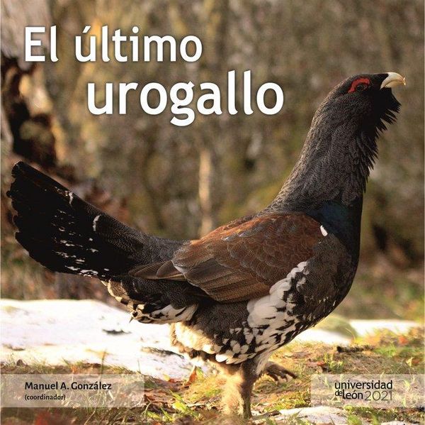 Produktbild: El &uacute;ltimo urogallo