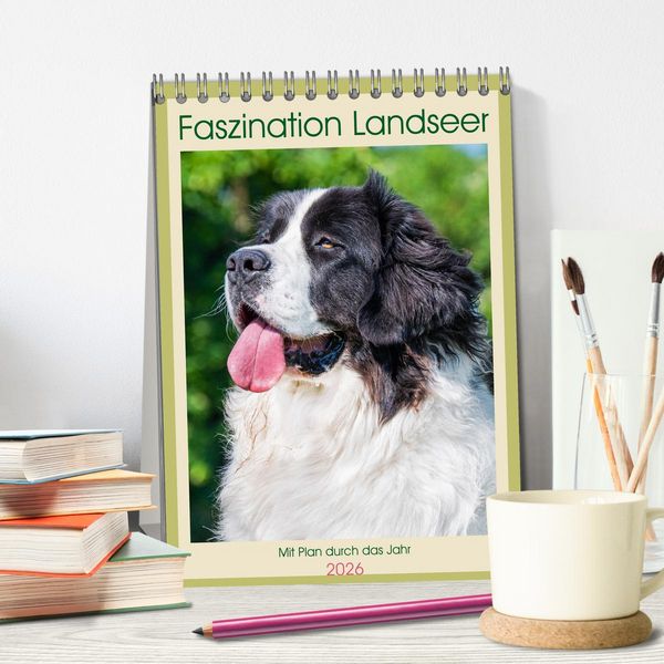 Produktbild: Faszination Landseer - Mit Plan durch das Jahr (Tischkalender 2026 DIN A5 hoch), CALVENDO Monatskalender