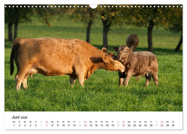 Produktbild: Bunte Welt des Bauernhofs (Wandkalender 2026 DIN A3 quer), CALVENDO Monatskalender