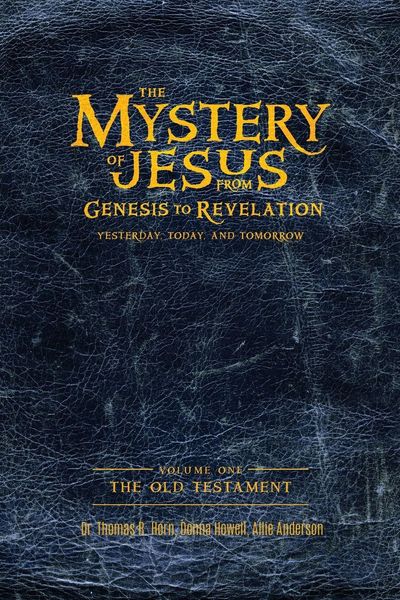 Produktbild: The Mystery of Jesus