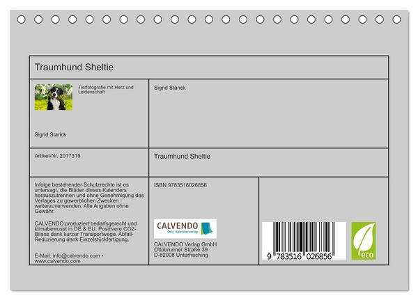 Produktbild: Traumhund Sheltie (Tischkalender 2026 DIN A5 quer), CALVENDO Monatskalender