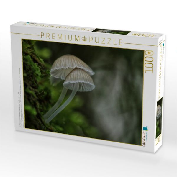 Produktbild: CALVENDO Puzzle Ein Motiv aus dem Kalender Pilze, die stillen Waldbewohner 2019 | 1000 Teile Lege-Gr&ouml;&szlig;e 64x48cm Foto-Puzzle f&uuml;r gl&uuml;ckliche Stunden